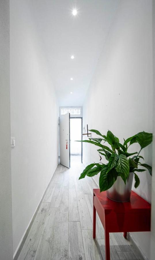 Puccinotti House Leilighet Firenze Eksteriør bilde